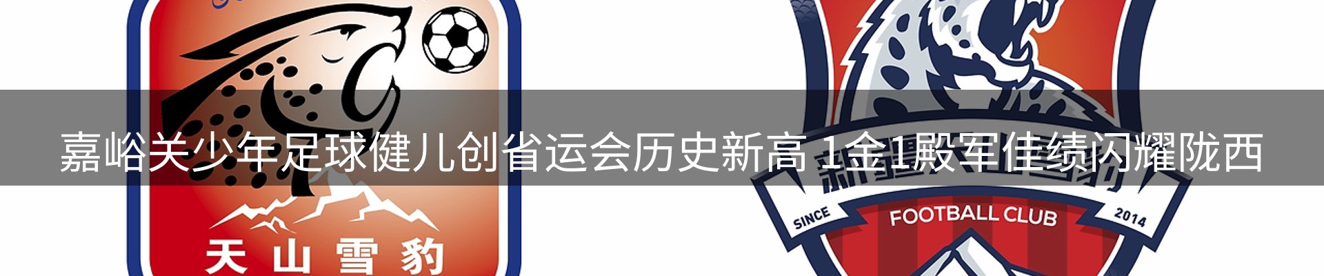 平台资讯